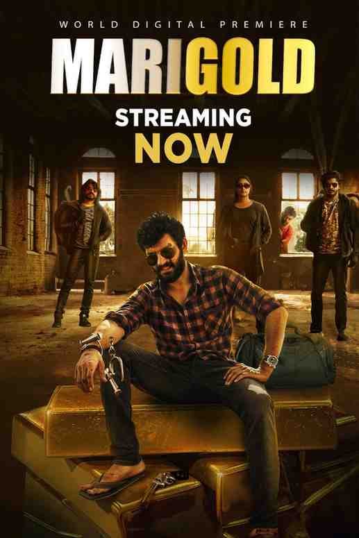 Marigold Hindi South Movie Hdmovies4u