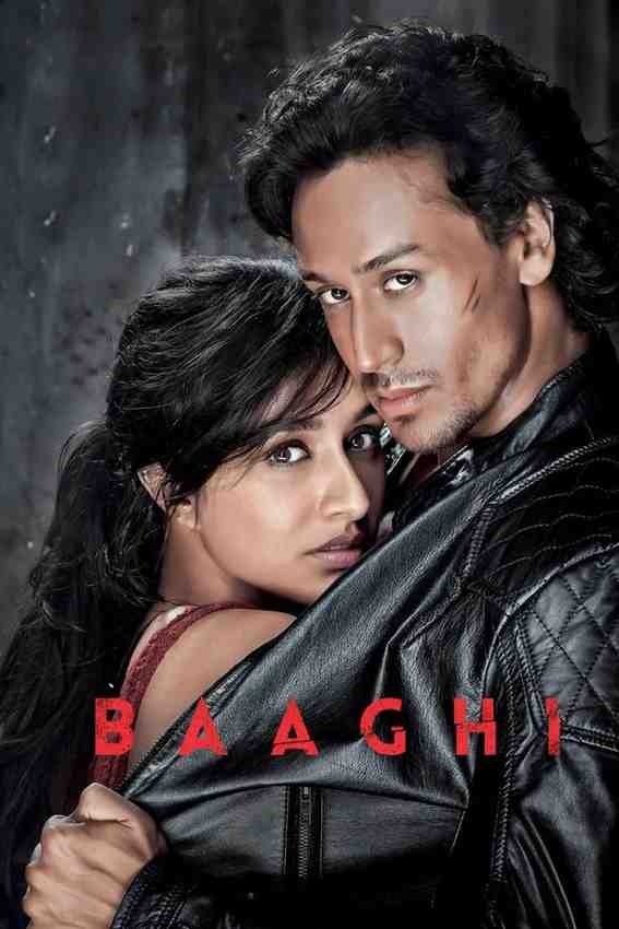 Baaghi Bollywood Hindi Movie Hdmovies4u