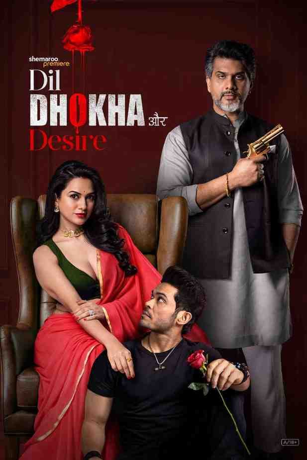 Dil Dhokha Aur Desire S01 Hindi Series Hdmovies4u